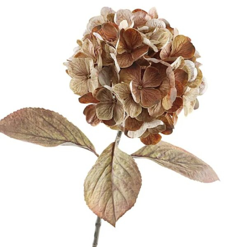  Kunstbloem – Hortensia – gedroogd bruin – 65cm